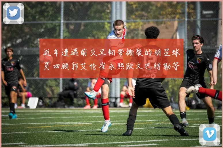 近年遭遇前交叉韧带撕裂的明星球员回顾郭艾伦崔永熙欧文巴特勒等人