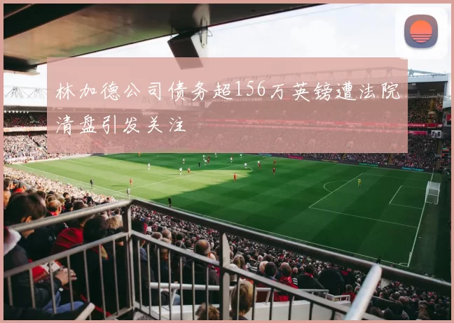 林加德公司债务超156万英镑遭法院清盘引发关注